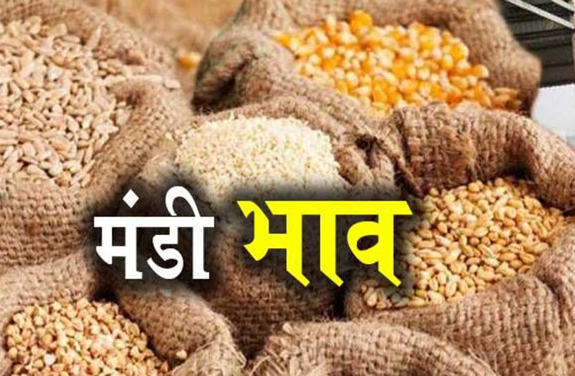 Akola Mandi Bhav Akola