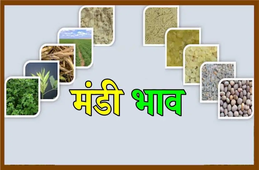 mandi