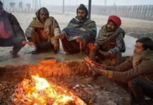राज्य में अगले कुछ दिनों तक ठंड जारी! इन जिलों के लिए येलो अलर्ट जारी