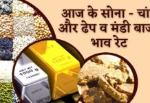 Akola मंडी बाजार भाव और सोना चांदी के रेट