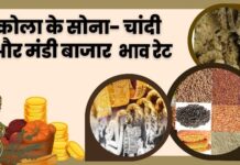 आज के अकोला मंडी बाजार भाव और सोना चांदी के रेट तथा सरकारी जॉब वैकेंसी एक साथ यहां देखे !