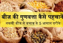 नकली बीज से बचाव के 5 आसान तरीके, बीज की गुणवत्ता कैसे पहचानें – यहाँ जाने