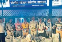 अमरावती में 7.12 लाख रुपये के अवैध एचटीबीटी कपास बीज जब्त, एक आरोपी पर मामला दर्ज