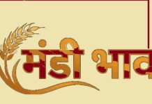 अकोला के ताजा मंडी बाजार भाव और सोना चांदी के रेट