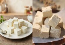 महाराष्ट्र में सिंथेटिक पनीर की बिक्री पर एक साल की रोक
