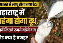 महाराष्ट्र में 11 अगस्त से महंगा होगा दूध, जानें कितने रुपये बढ़ेंगे दाम और क्या है वजह?