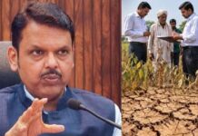 महाराष्ट्र कैबिनेट के बड़े फैसले: सूखा राहत से मेट्रो और कृषि विभाग तक कई निर्णय