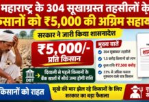 महाराष्ट्र के 304 सूखाग्रस्त तहसीलों के किसानों को ₹5,000 की अग्रिम सहायता, सरकार ने जारी किया शासनादेश